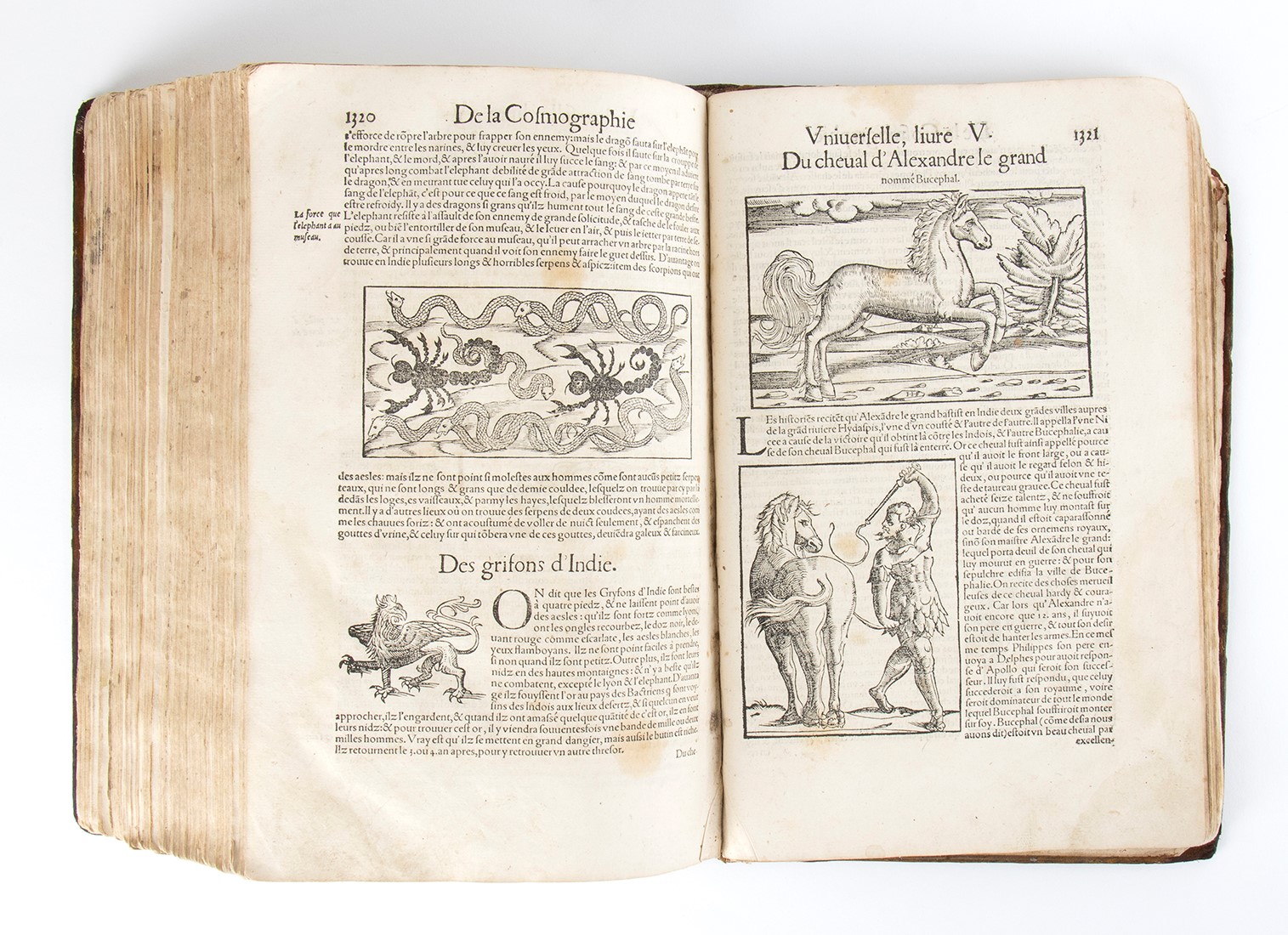 Sebastian Munster. la Cosmographie Universelle, Contenant la Situation De Toutes Les Parties Du M...