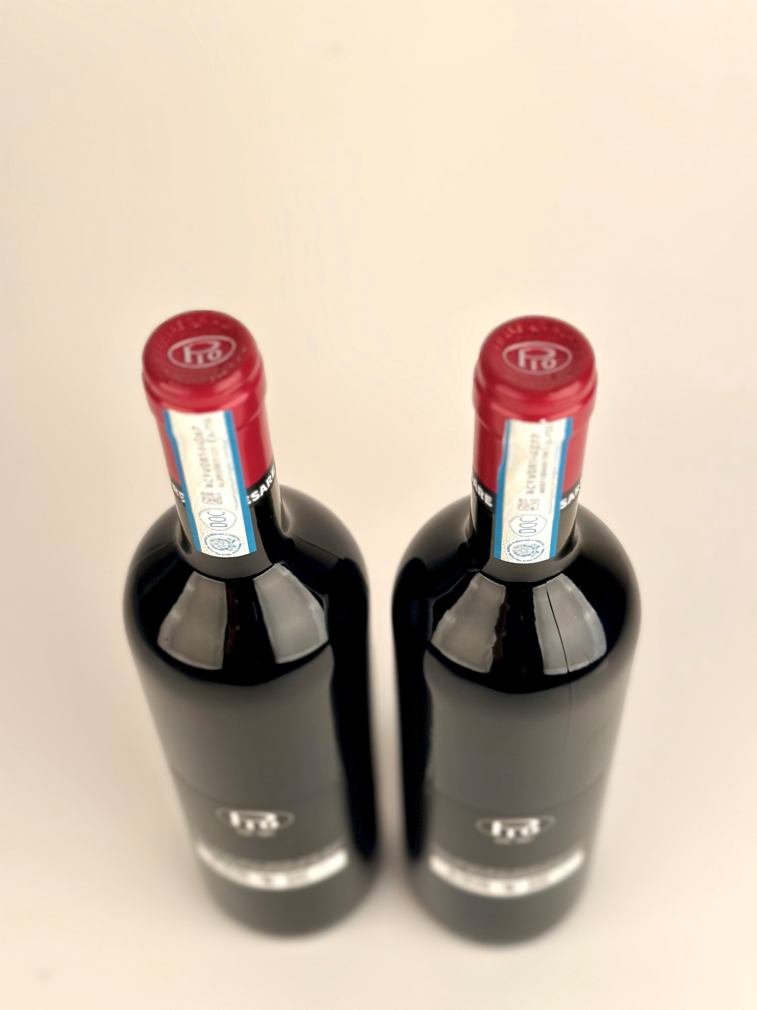 Pio Cesare, Barbera D'alba