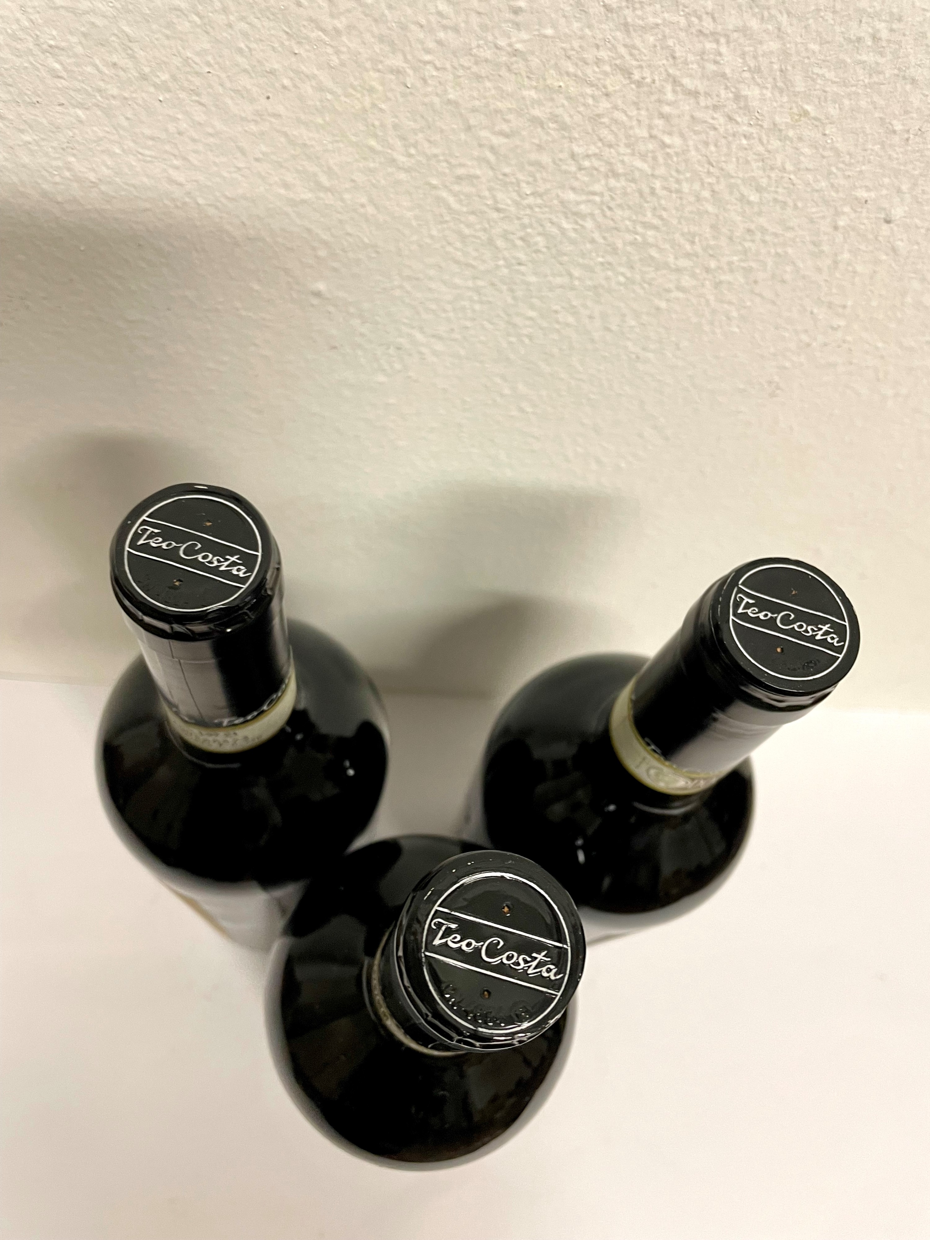 Teo Costa Montroj, Barolo