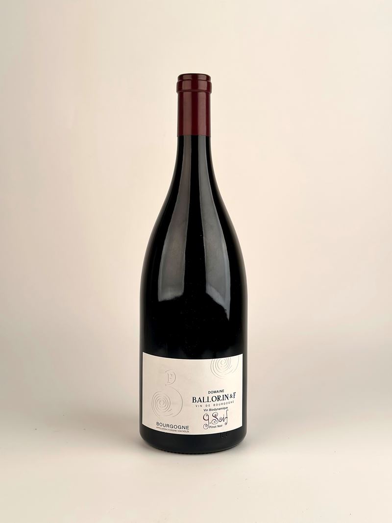 Domaine Ballorin & F Bourgogne, Pinot Noir G. Soif