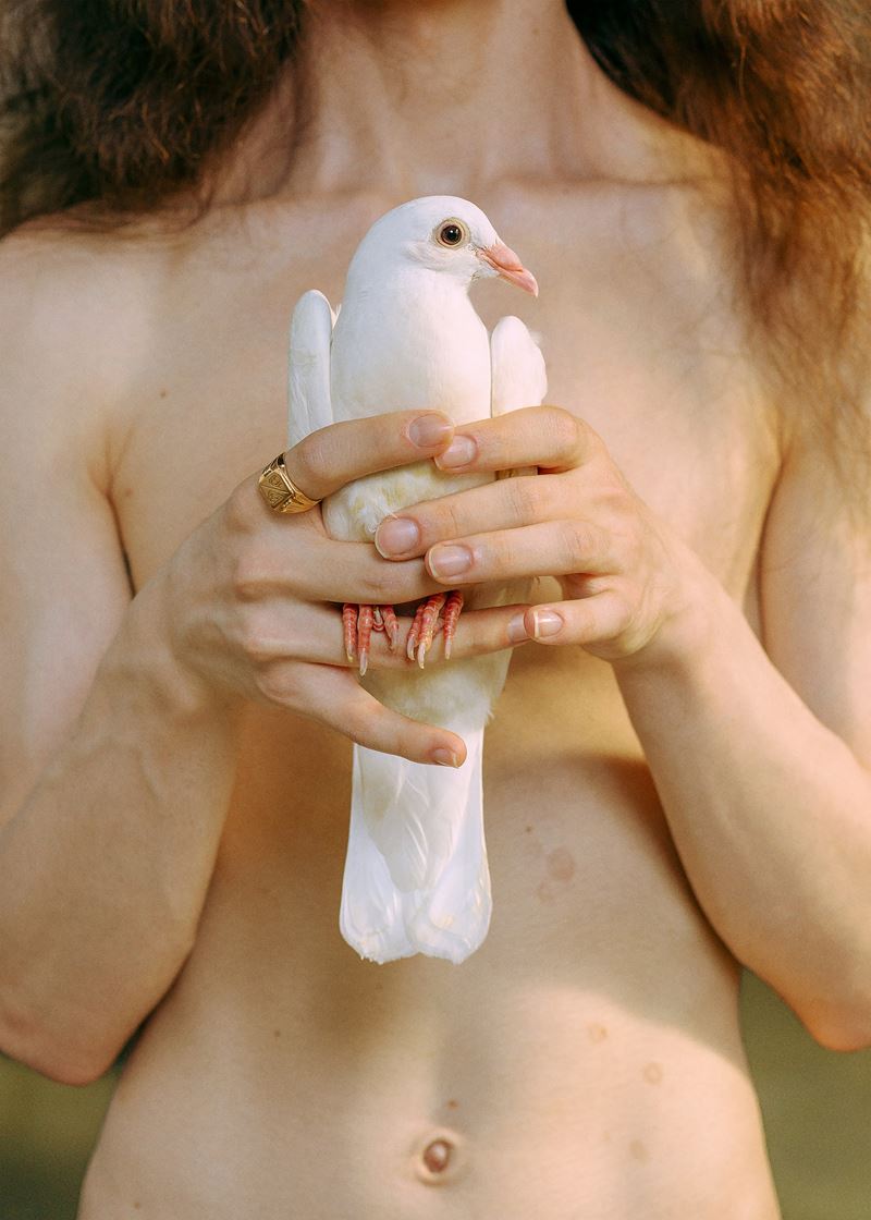 Ornella Mercier - Asebeia, Moult II (italia)