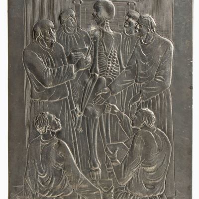 Scena Anatomica