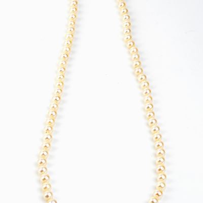 Collana di Perle Coltivate D'acqua Salata