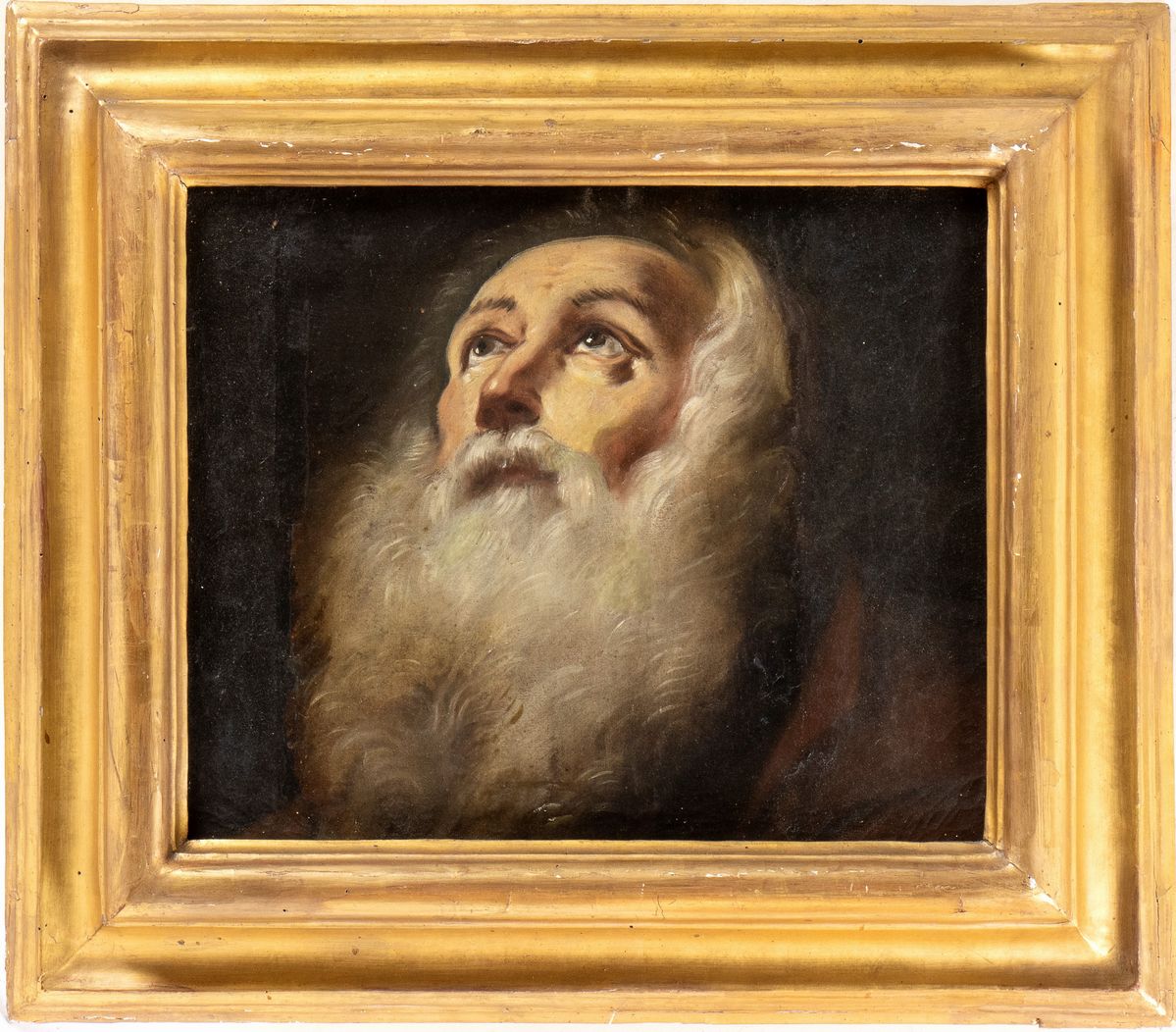 Artista Emiliano, XVII Secolo - Testa di Vecchio con Barba