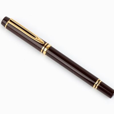 Waterman: Penna Stilografica
