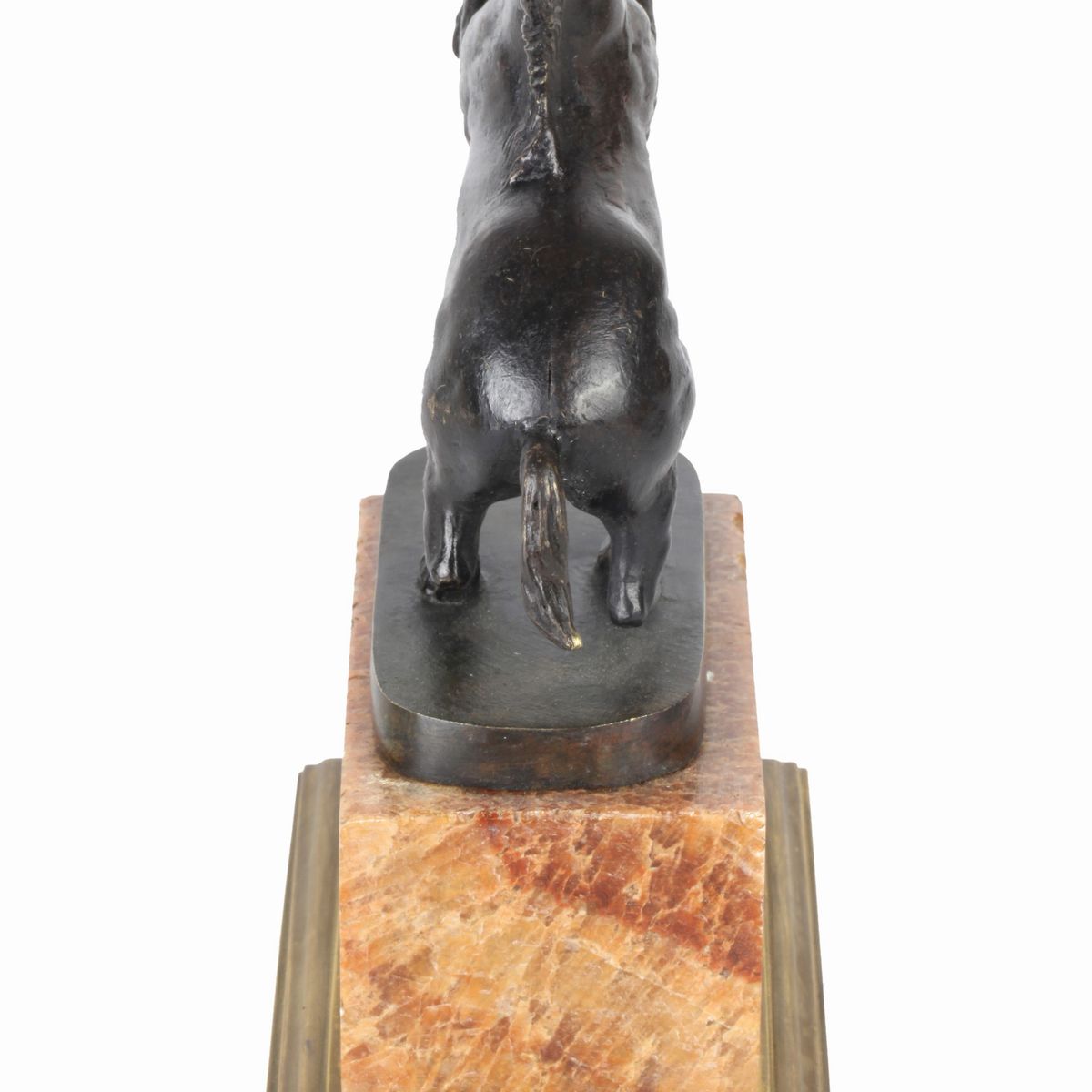 Cavallino Rampante