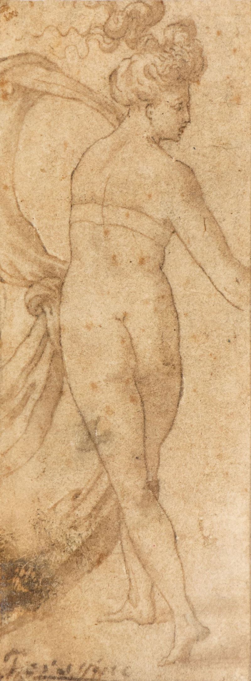 Girolamo Francesco Maria Mazzola Detto il Parmigianino - Ninfa