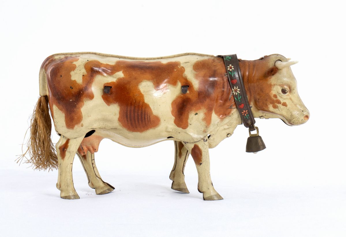 Mucca