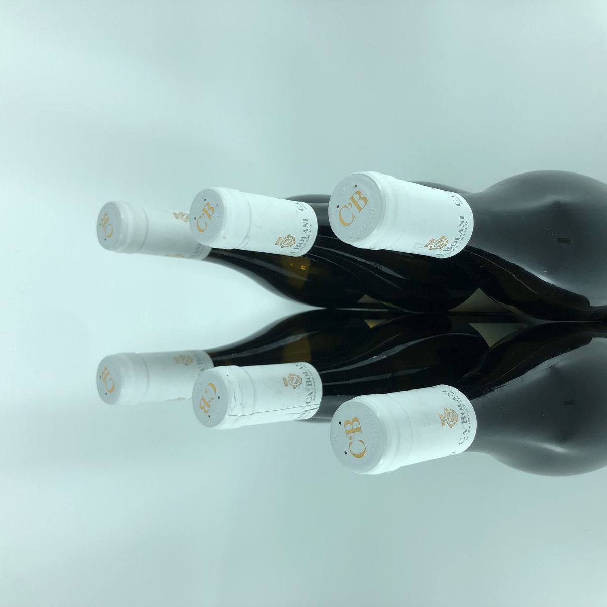 Tenuta Ca' Bolani Pinot Grigio Friuli Aquileia