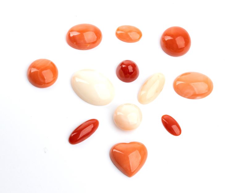 Lotto di 12 Cabochon di Coralli di Varie Forme