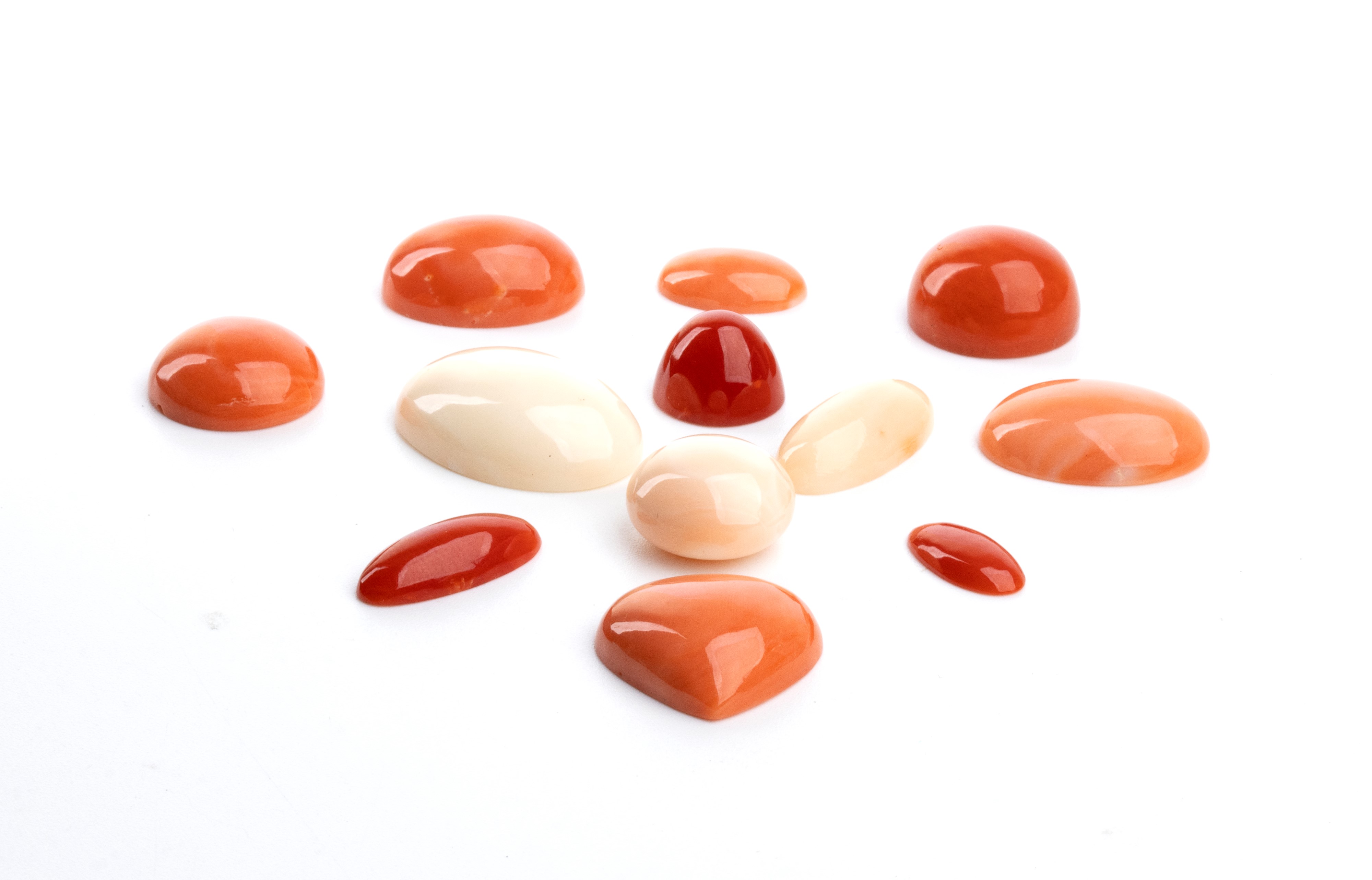 Lotto di 12 Cabochon di Coralli di Varie Forme