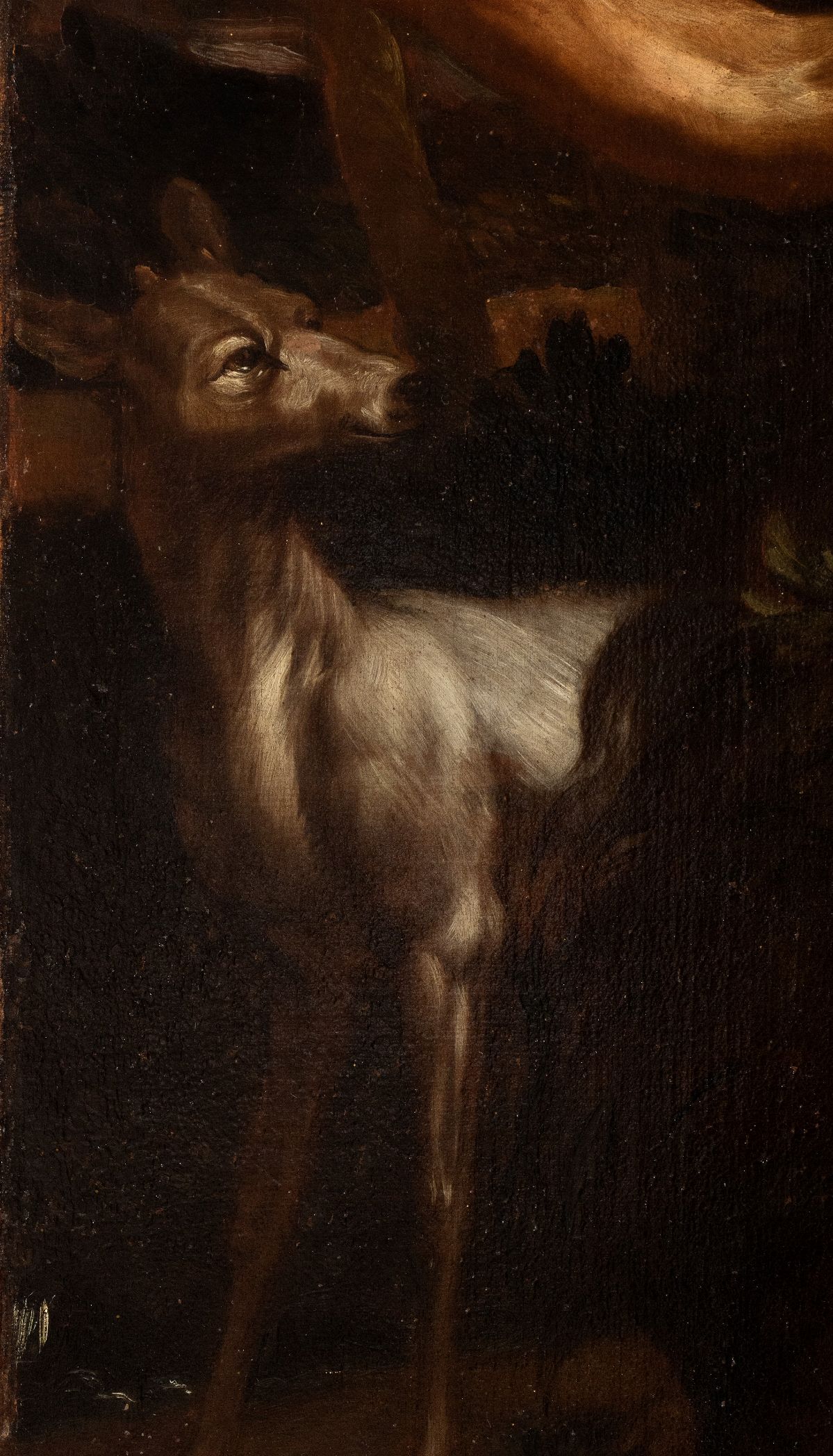 Artista Attivo a Roma, Ultimo Quarto XVII Secolo - Sant' Onofrio nel Deserto
