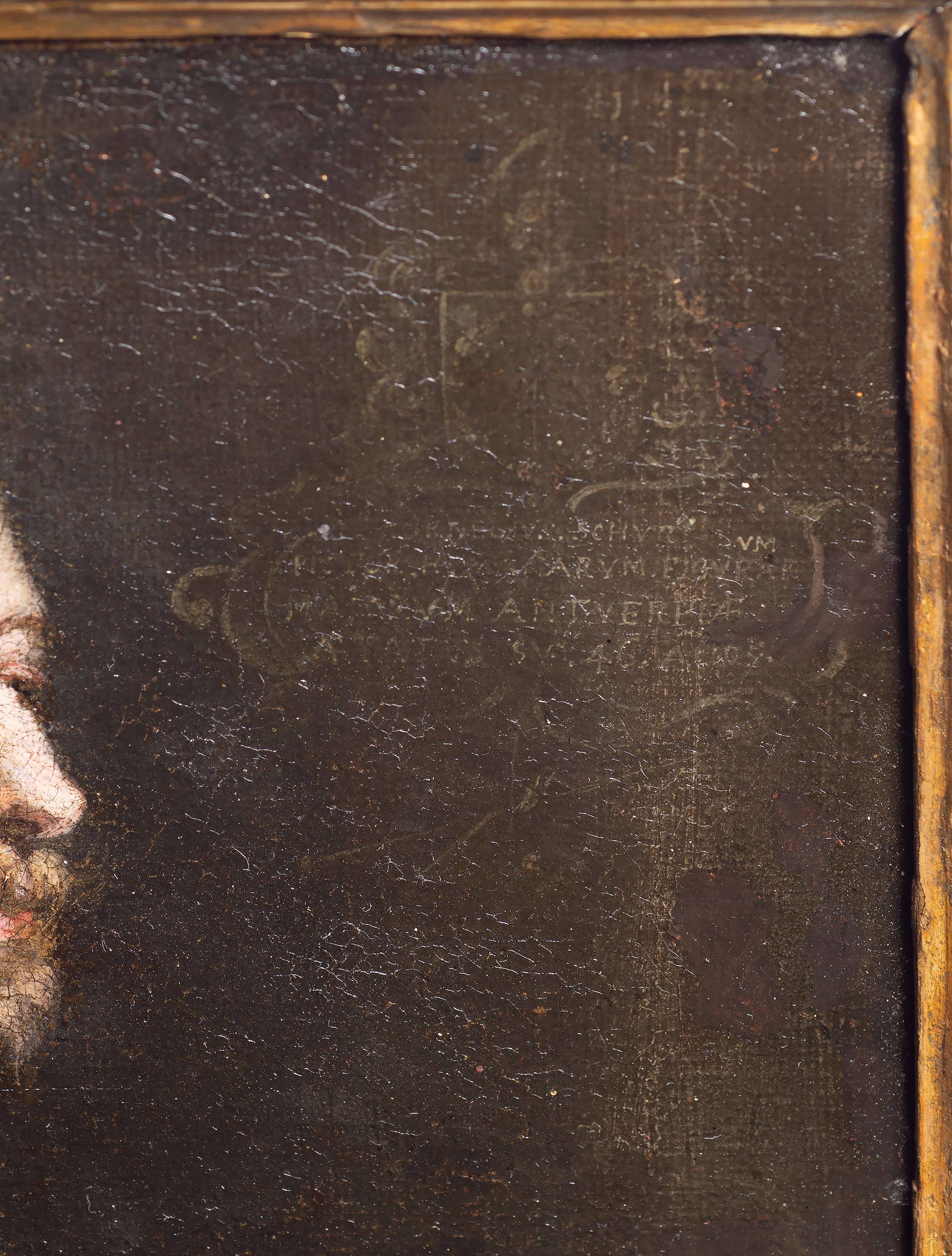 Artista Fiammingo, XVIII Secolo - Ritratto del Pittore Cornelis Schut