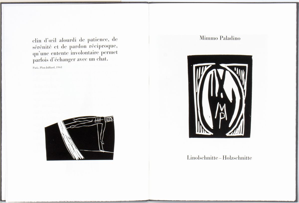 Mimmo Paladino - Libro D'artista