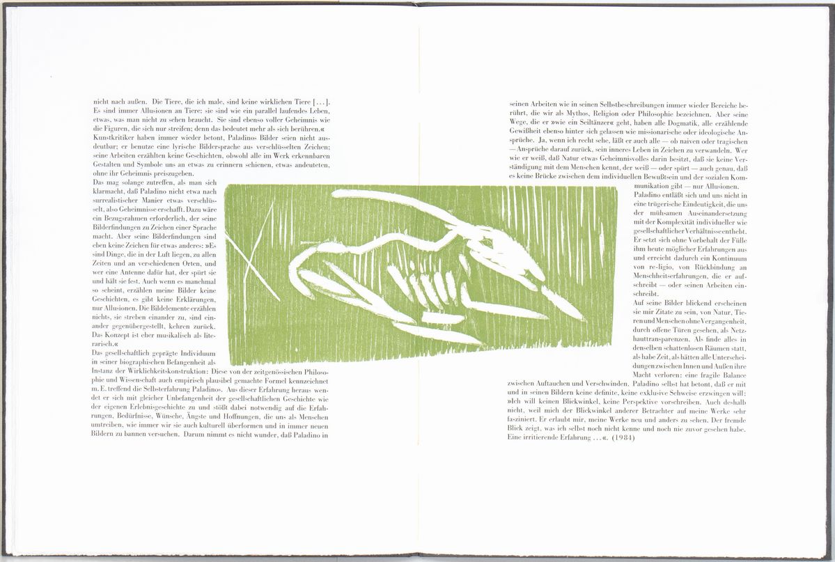 Mimmo Paladino - Libro D'artista