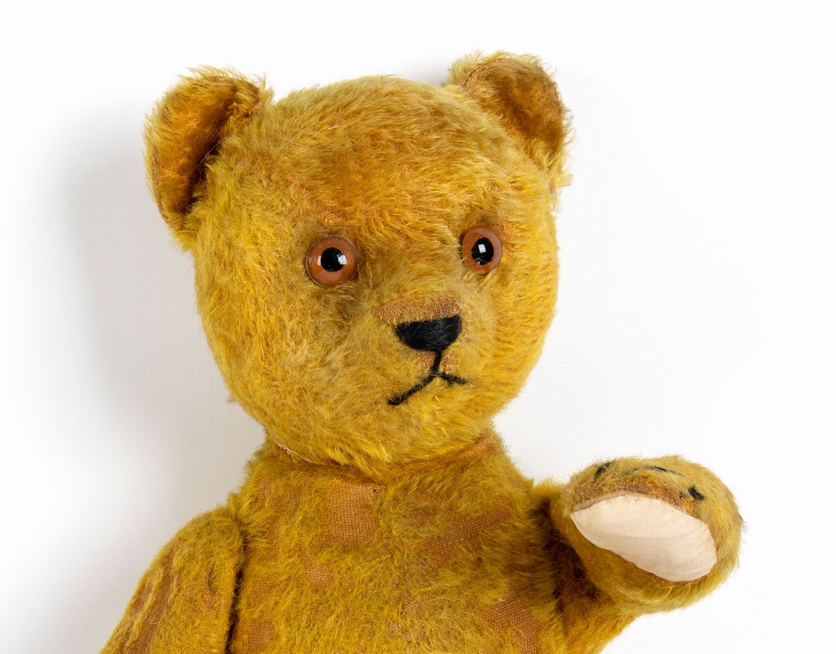 Teddy Bear