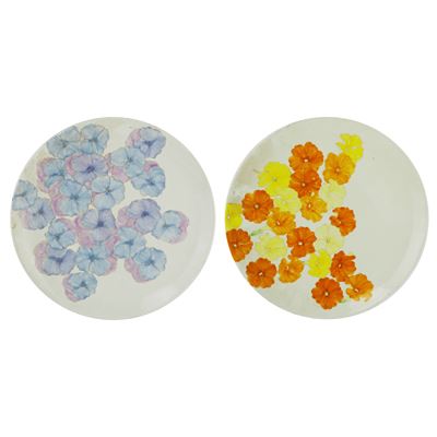 Coppia di Piatti in Ceramica Bianca con Decoro Floreale