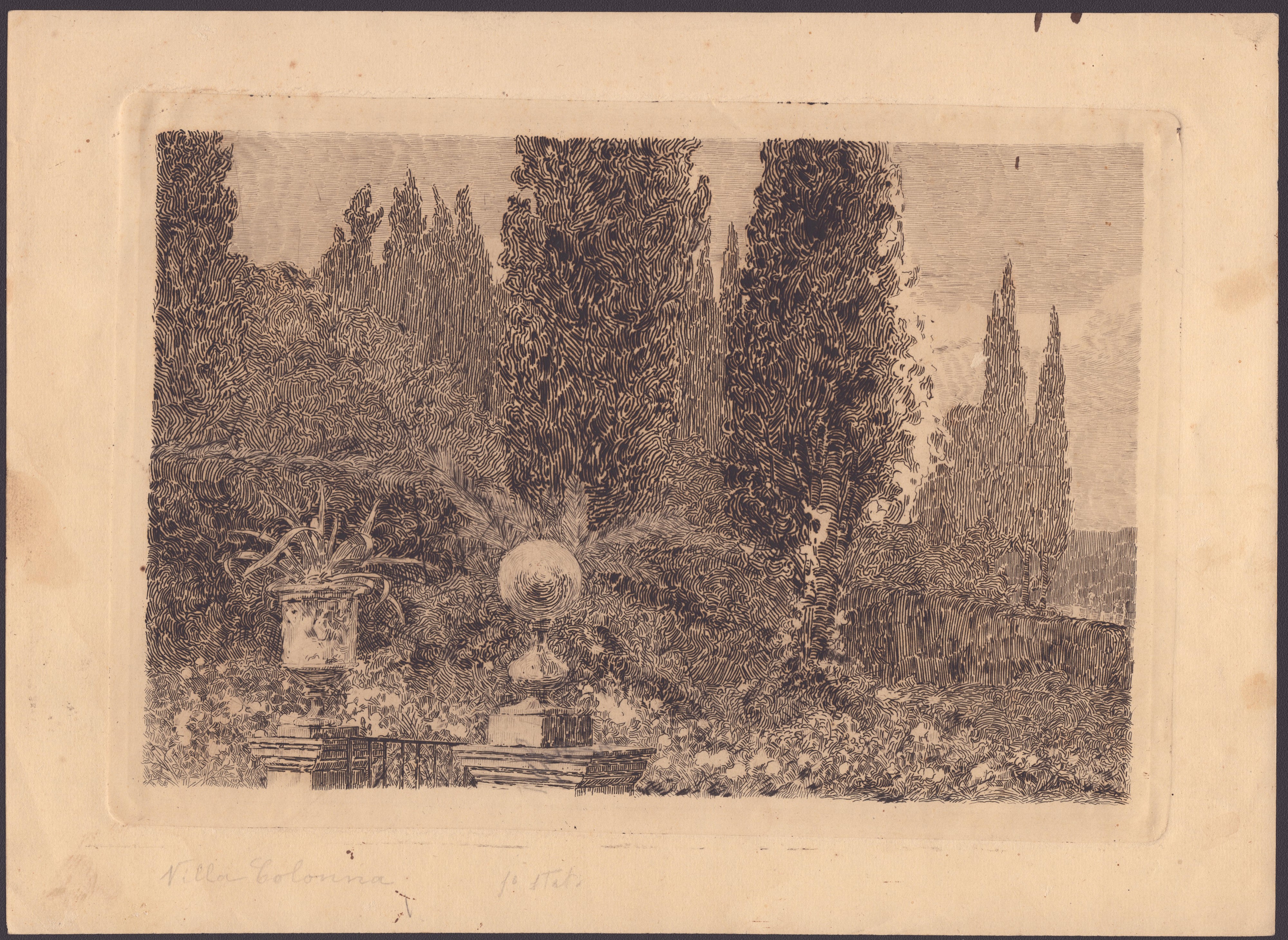 Francesco Vitalini - Villa Colonna