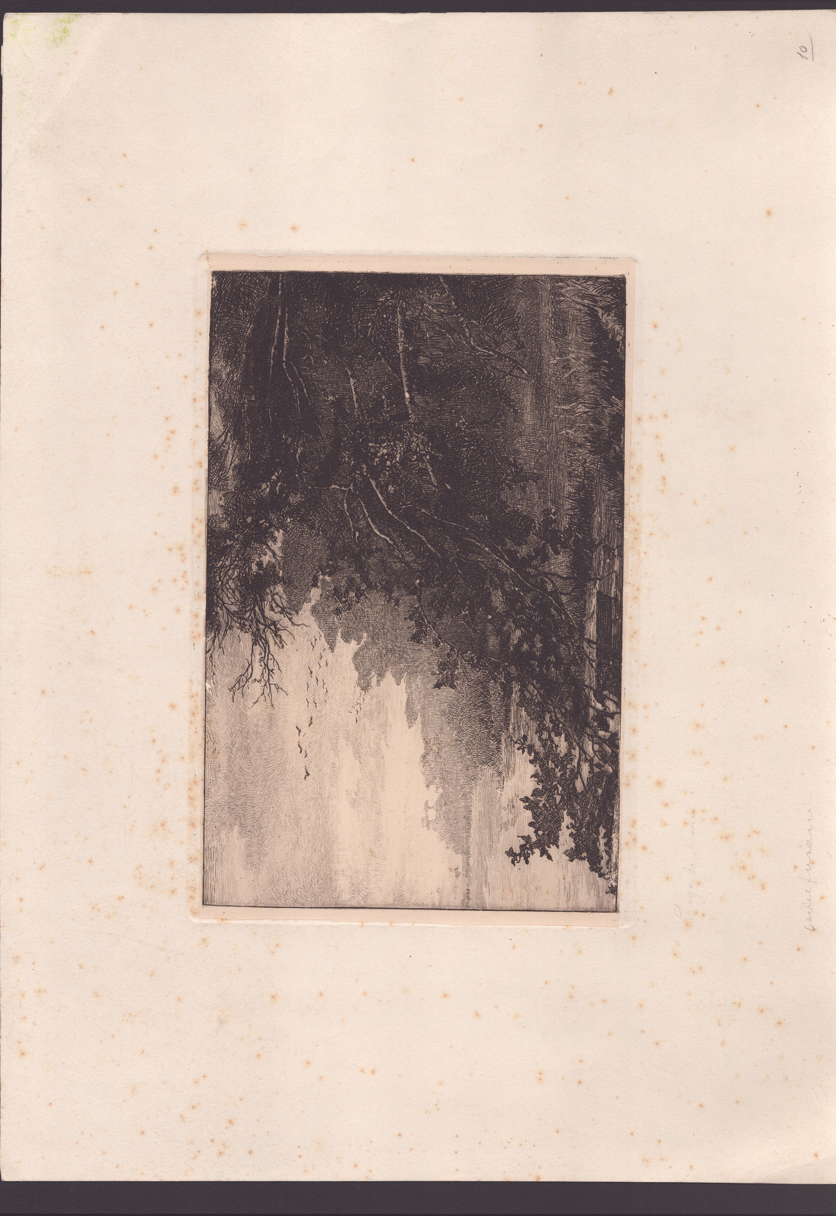 Francesco Vitalini - Castelfusano