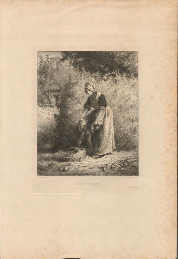 Edmond H&#233;douin - La cueillette des haricots