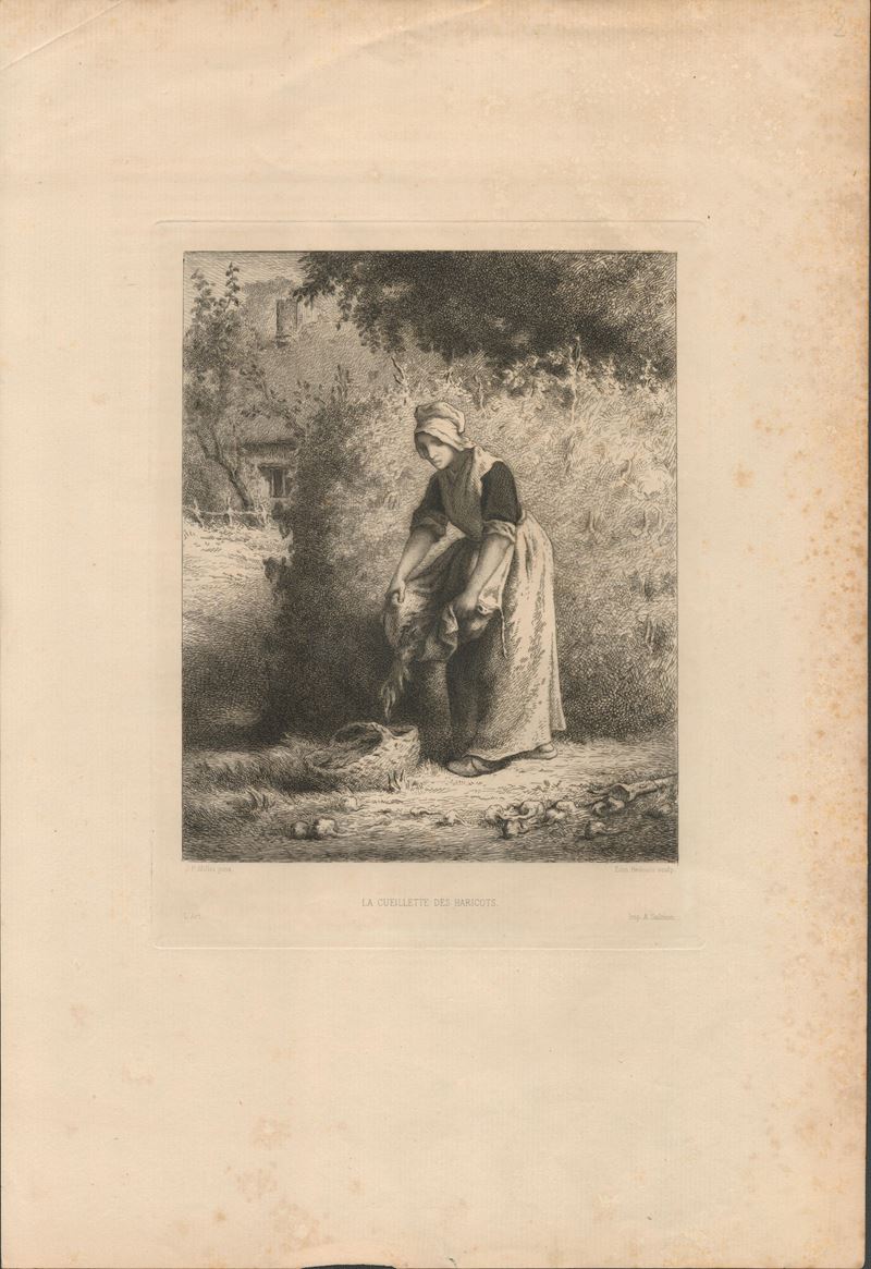 Edmond Hédouin - La Cueillette Des Haricots
