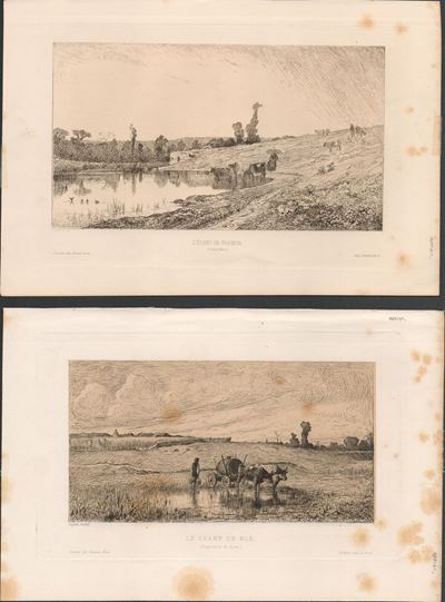 Le Champ De Blé / L'etang De Frignon