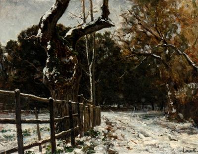 Paesaggio Innevato