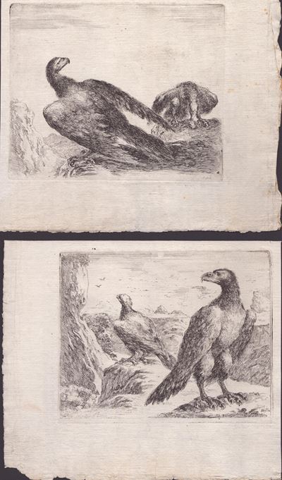 Due Incisioni dalla Serie "les Aigles"