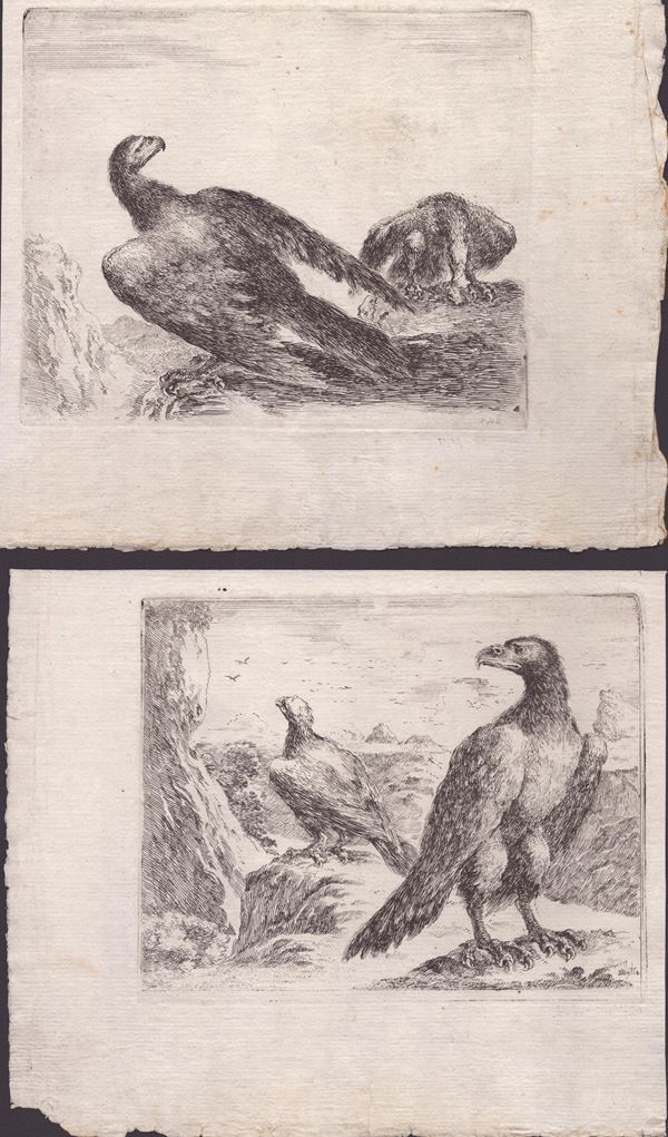 Stefano della Bella - Two engravings from the series "Les aigles"