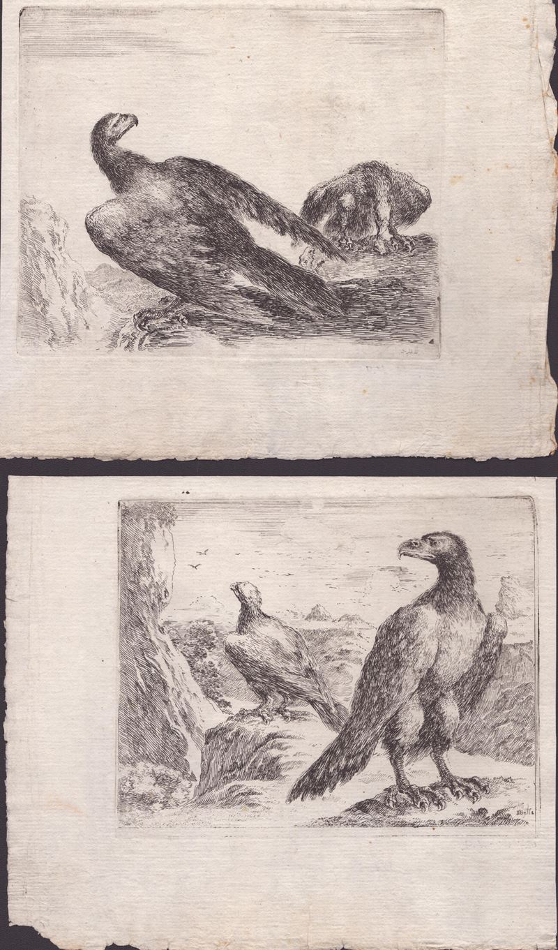 Stefano della Bella - Due Incisioni dalla Serie "les Aigles"