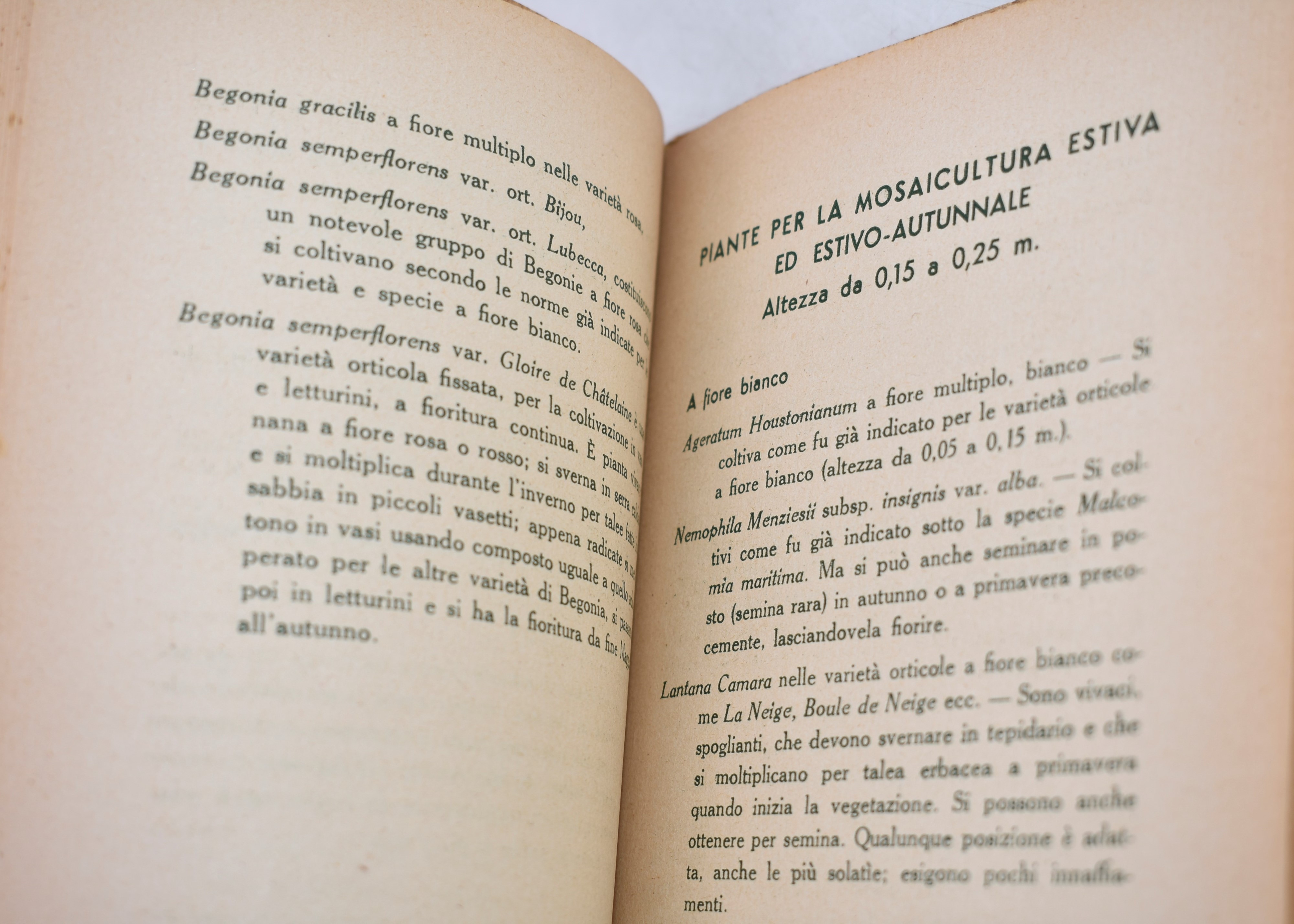 Bo, Nicola. le Piante da Aiuola e da Mosaicoltura. 1934.