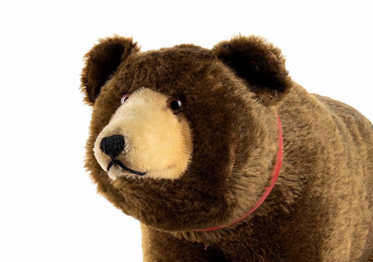 Steiff Orso su Ruote