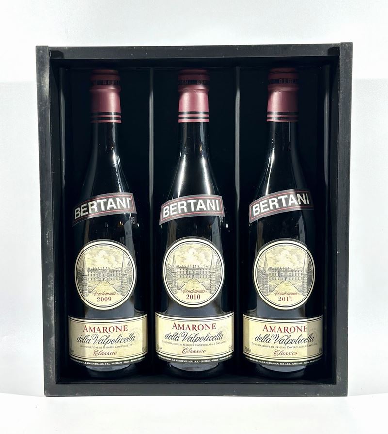 Bertani, Amarone della Valpolicella Special Edition Archivio Storico