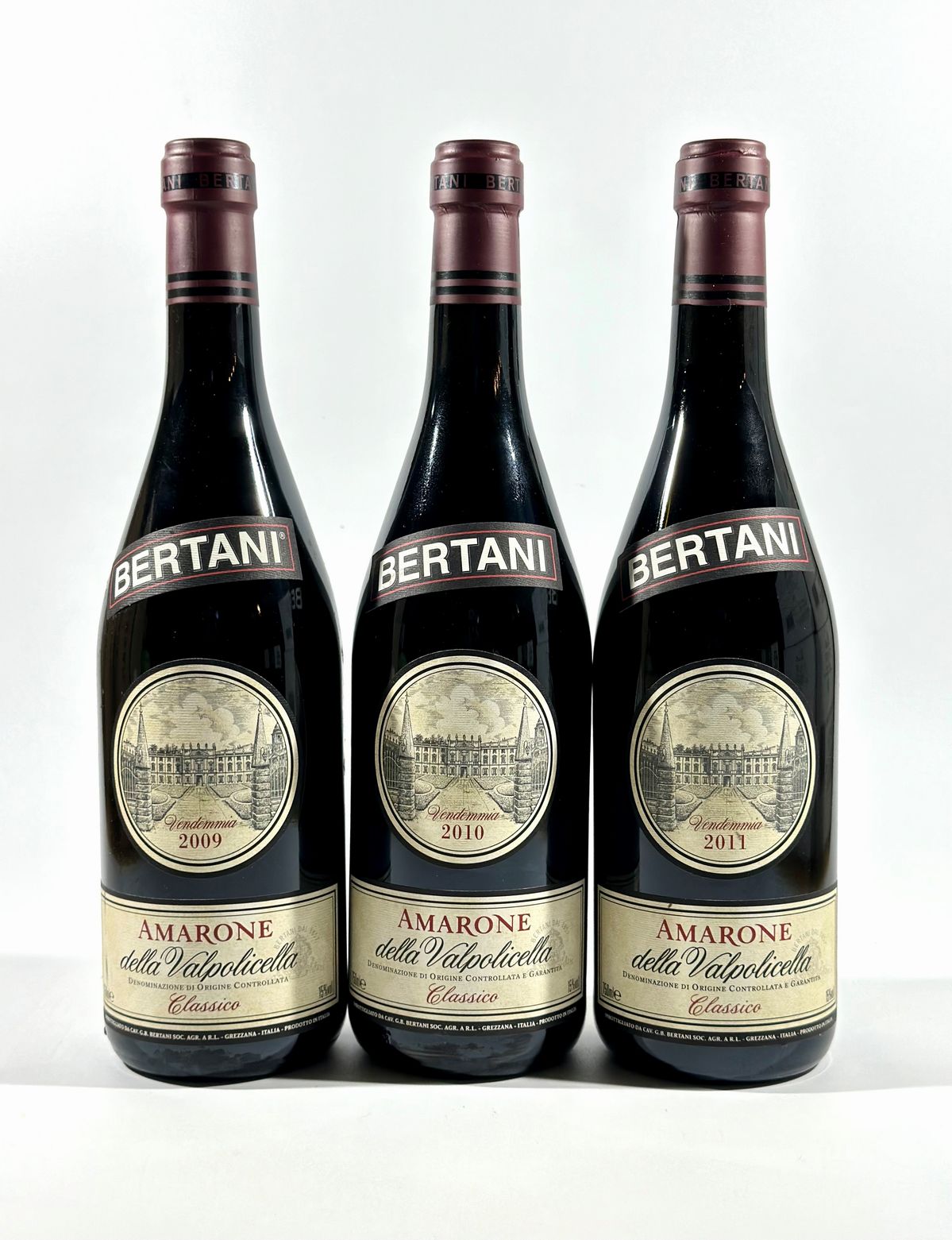 Bertani, Amarone della Valpolicella Special Edition Archivio Storico