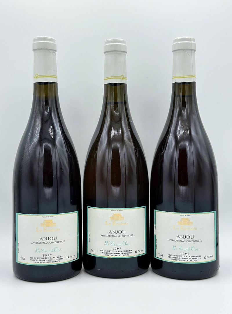 Château De la Roulerie, le Grand Clos Anjou