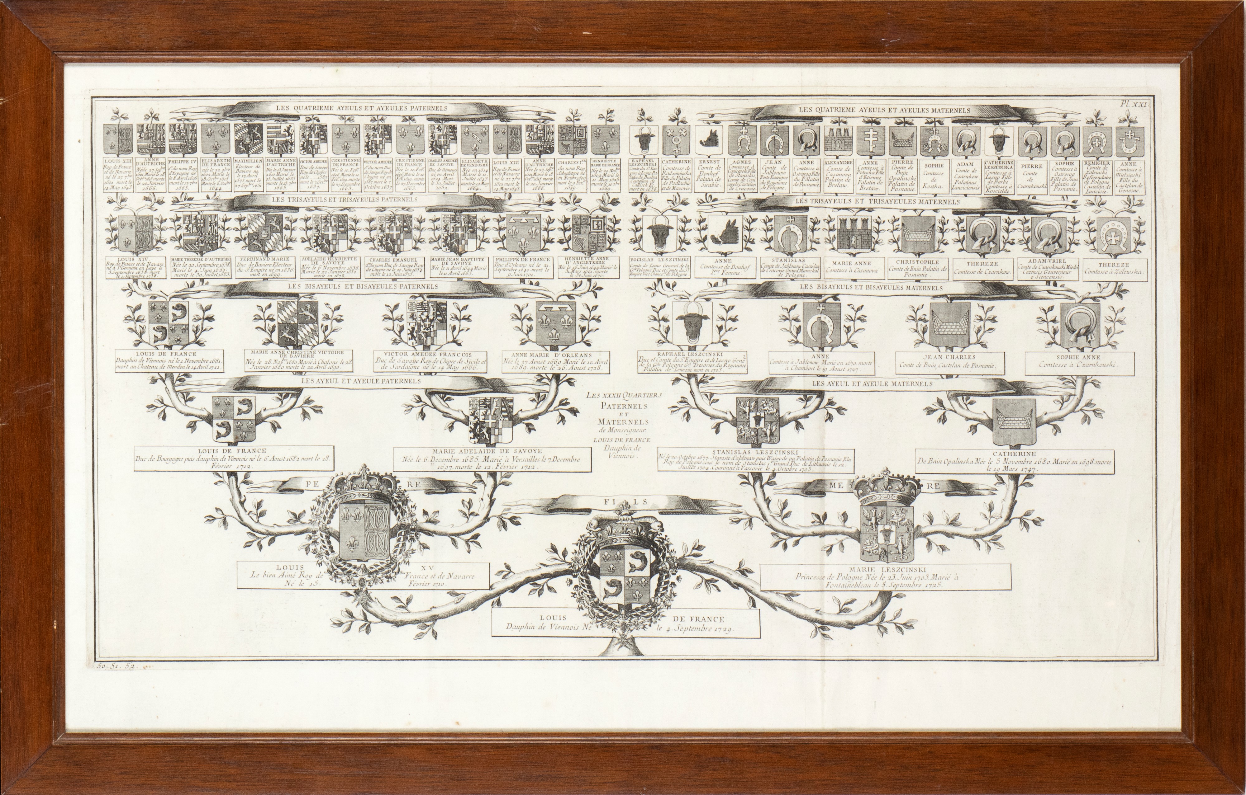 Albero genealogico di Luigi XV