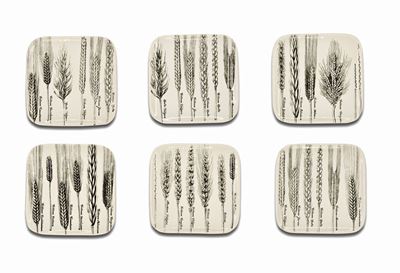 Sei Piatti "serie Spikes" di Piero Fornasetti