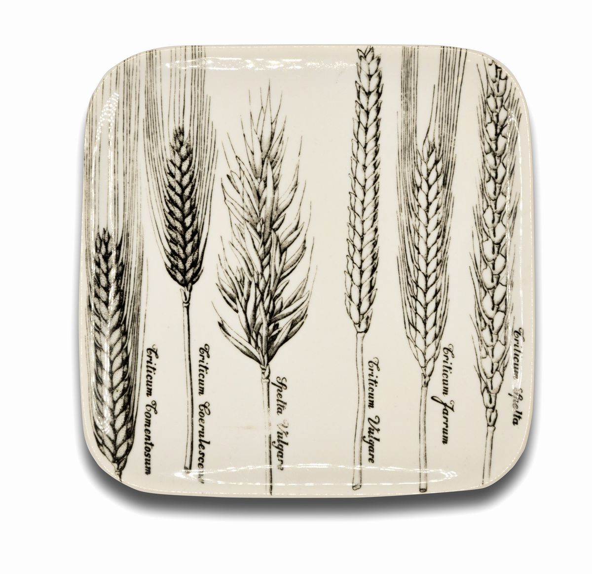 Piero Fornasetti Milano, 1913 - 1988 - Sei Piatti "serie Spikes" di Piero Fornasetti