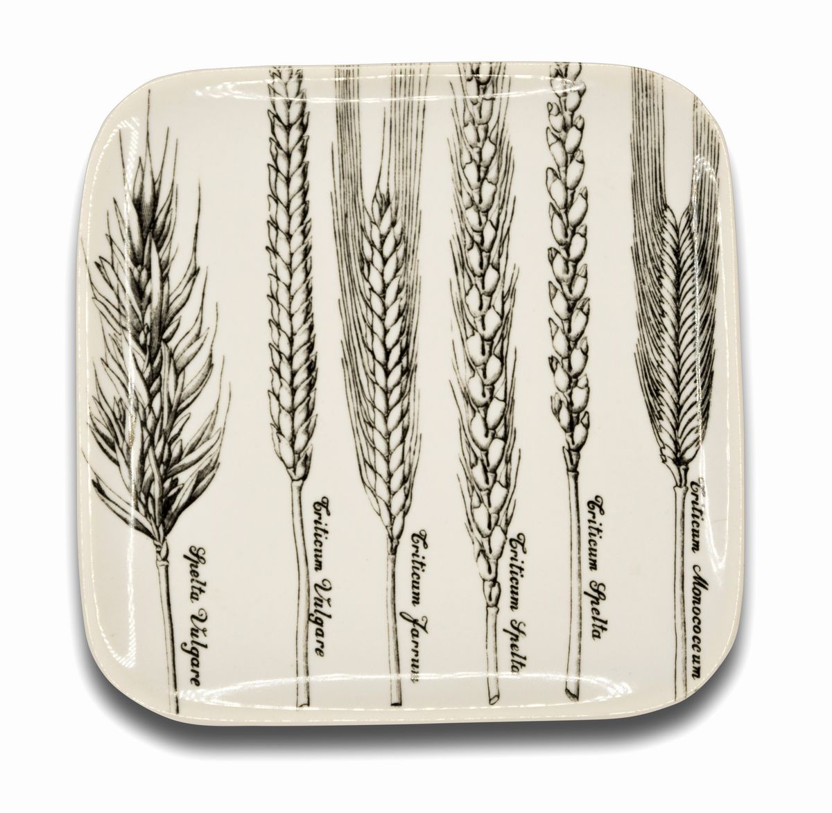 Piero Fornasetti Milano, 1913 - 1988 - Sei Piatti "serie Spikes" di Piero Fornasetti
