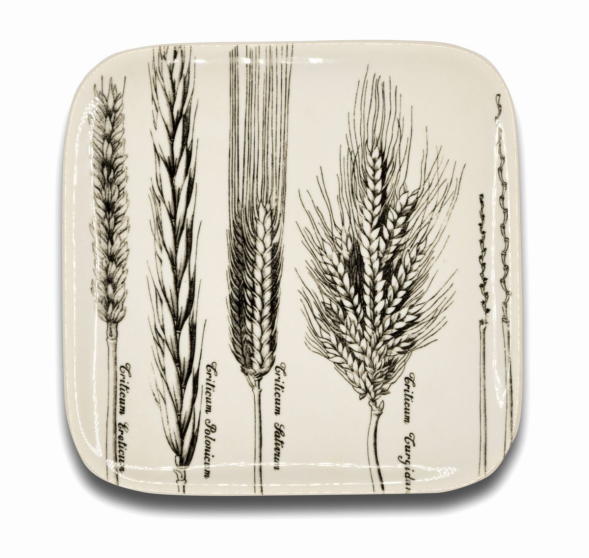Piero Fornasetti Milano, 1913 - 1988 - Sei Piatti "serie Spikes" di Piero Fornasetti
