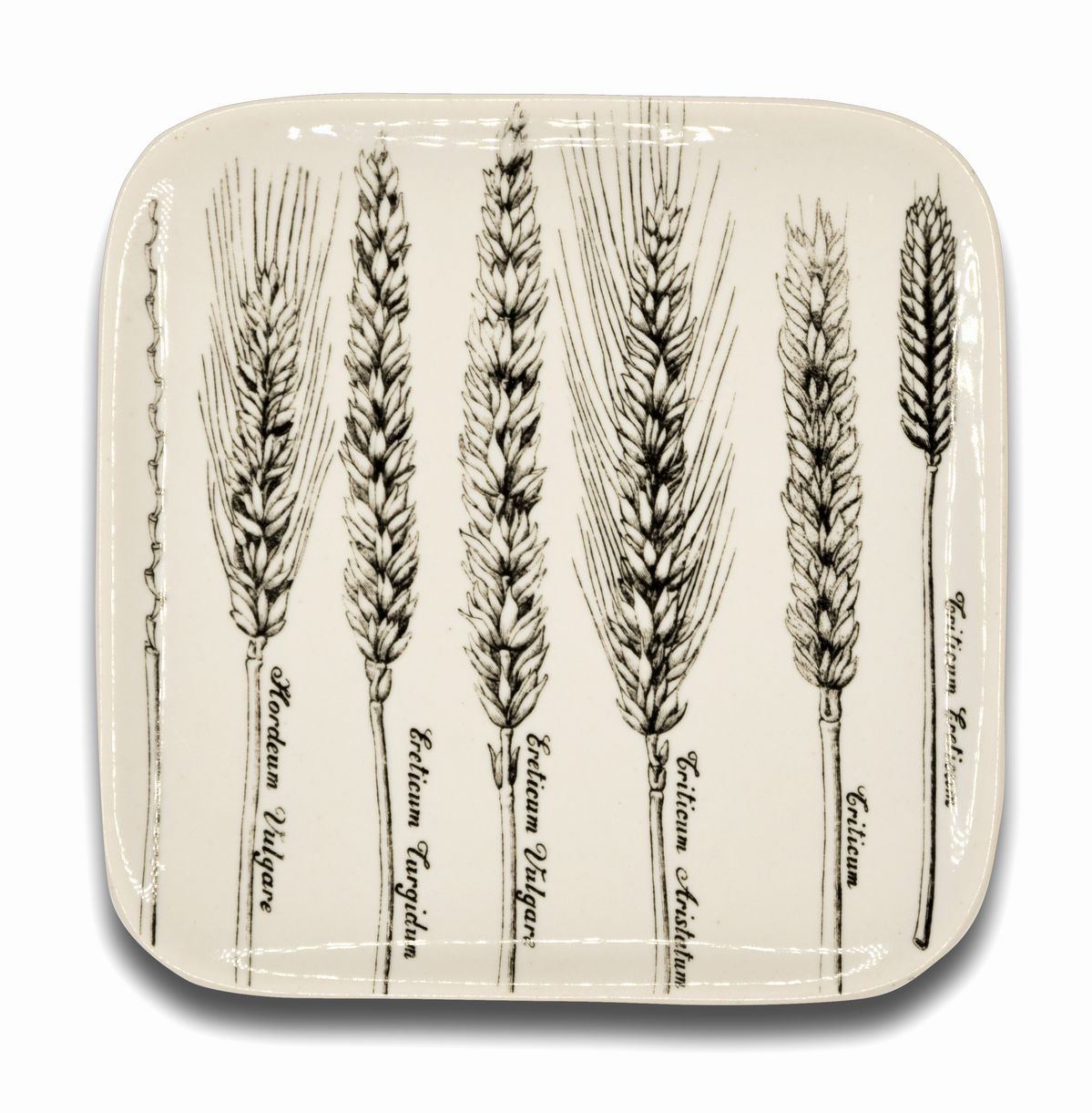 Piero Fornasetti Milano, 1913 - 1988 - Sei Piatti "serie Spikes" di Piero Fornasetti