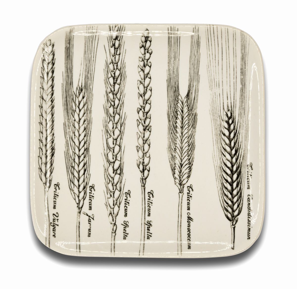 Piero Fornasetti Milano, 1913 - 1988 - Sei Piatti "serie Spikes" di Piero Fornasetti