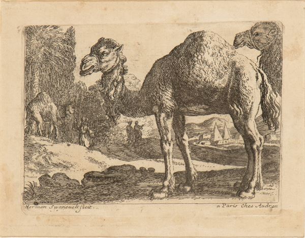 Herman van Swanevelt - Two camels