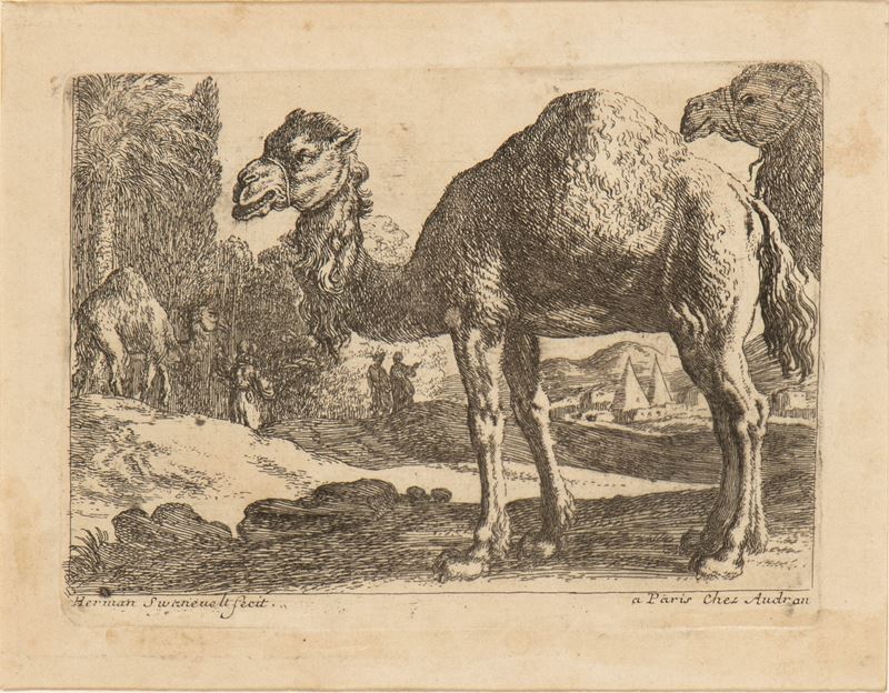 Herman Van Swanevelt - Due Cammelli