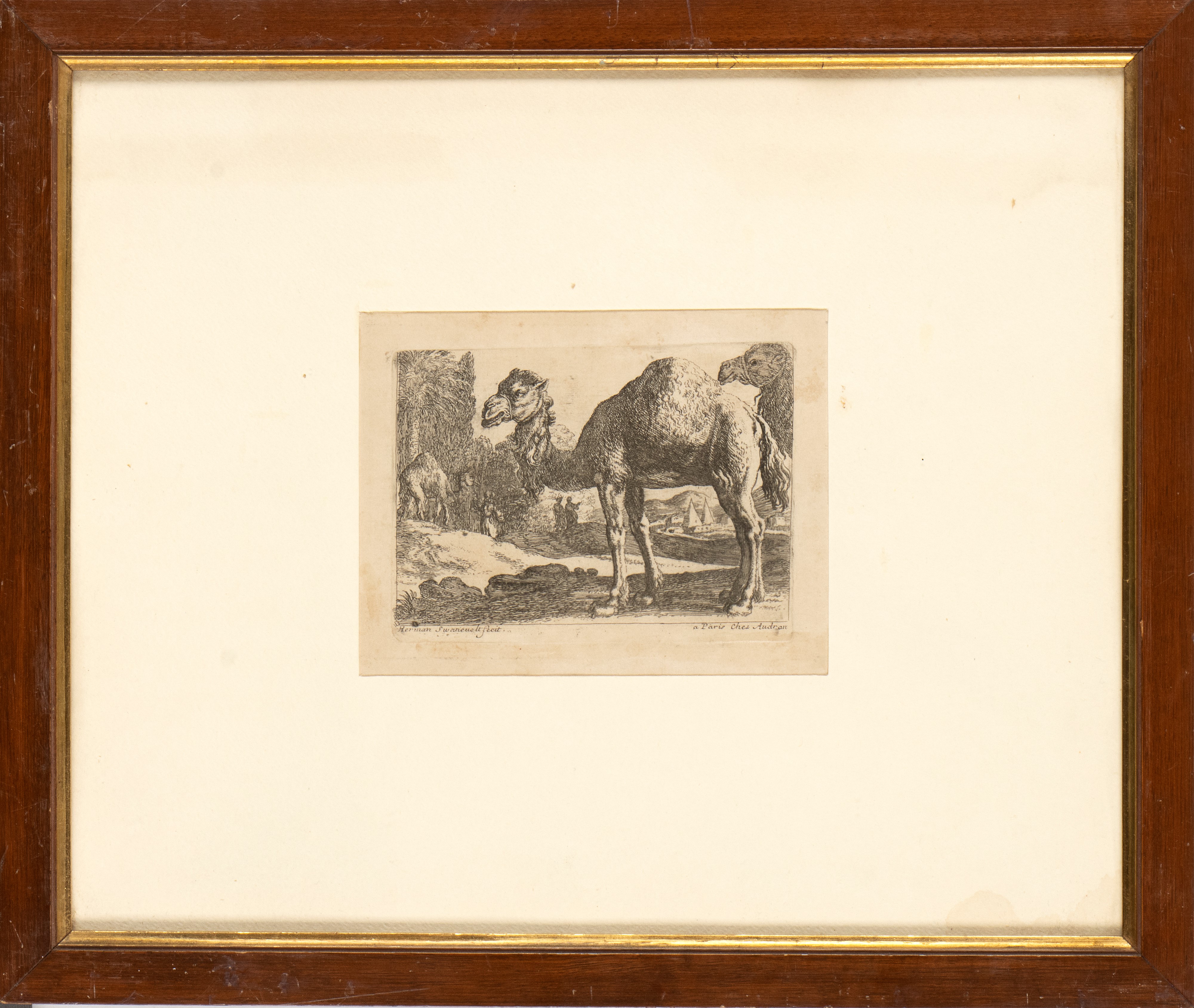 Herman Van Swanevelt - Due Cammelli