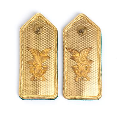 Coppia Controspallinem.34 Metalliche Alpini