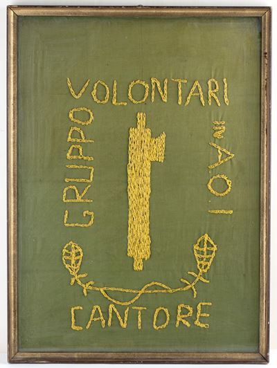 Volontari Aoi