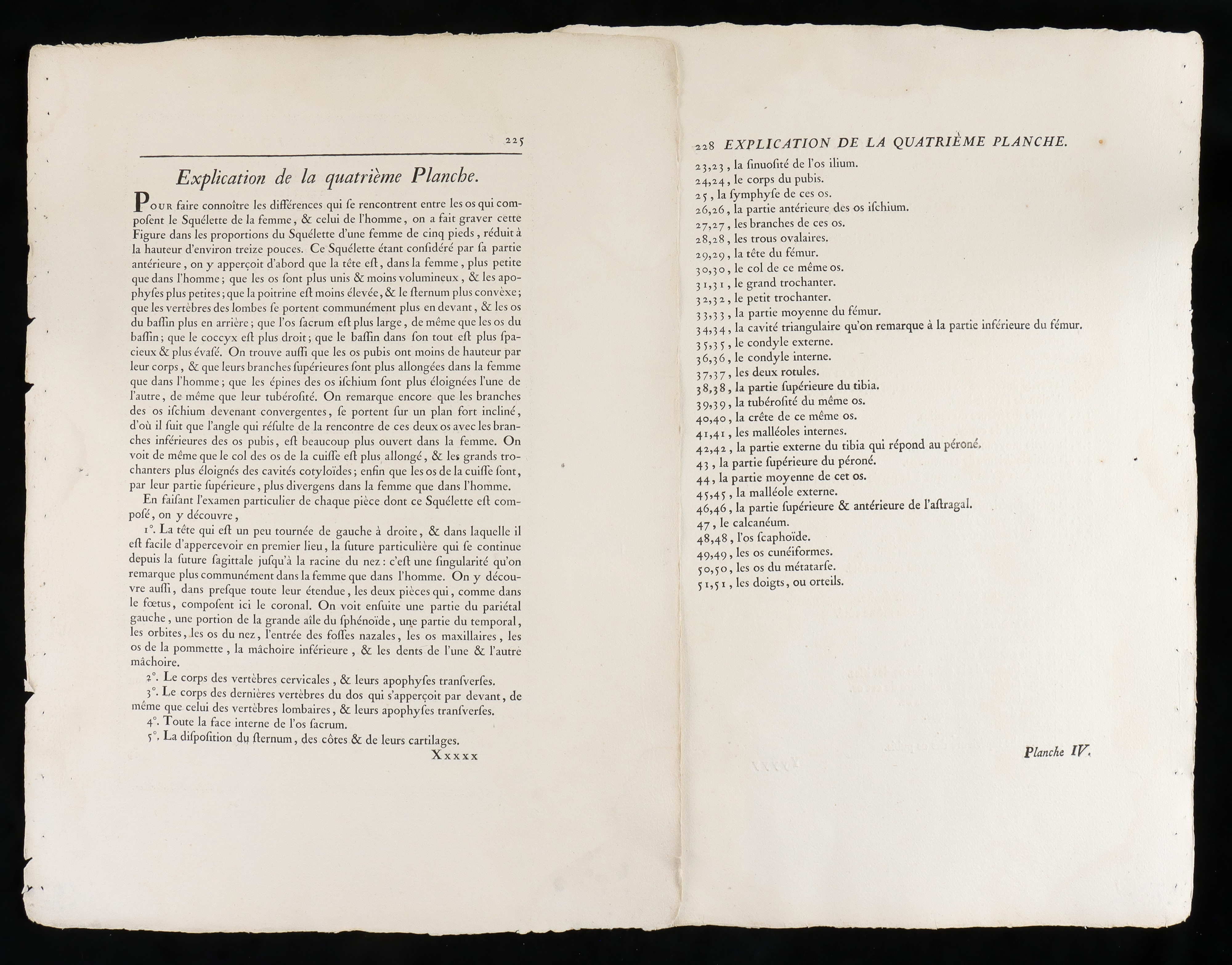 Scheletro Femminile da "traité D'ostéologie... Par M. Sue"
