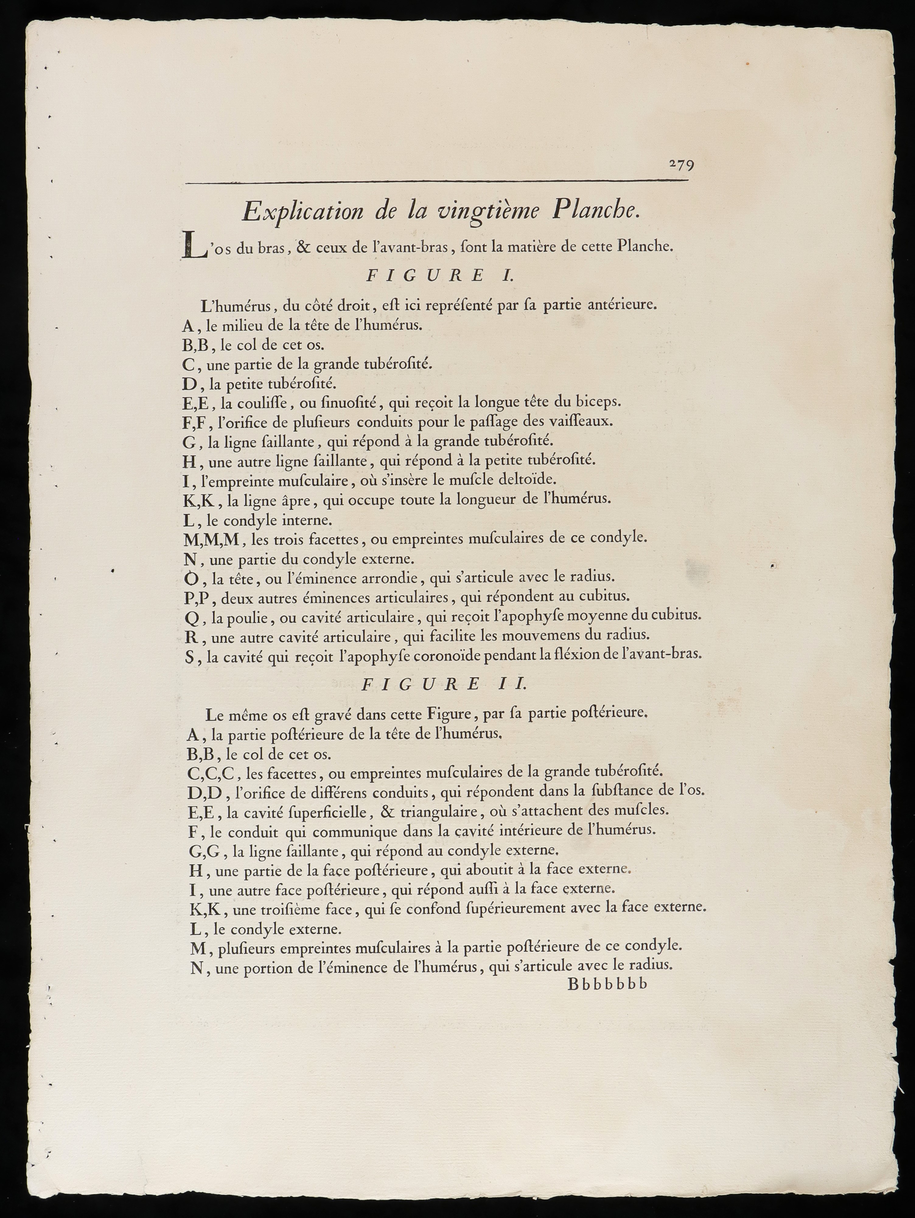 L'osso del Braccio e Quelli Dell'avambraccio da "traité D'ostéologie... Par M. Sue"