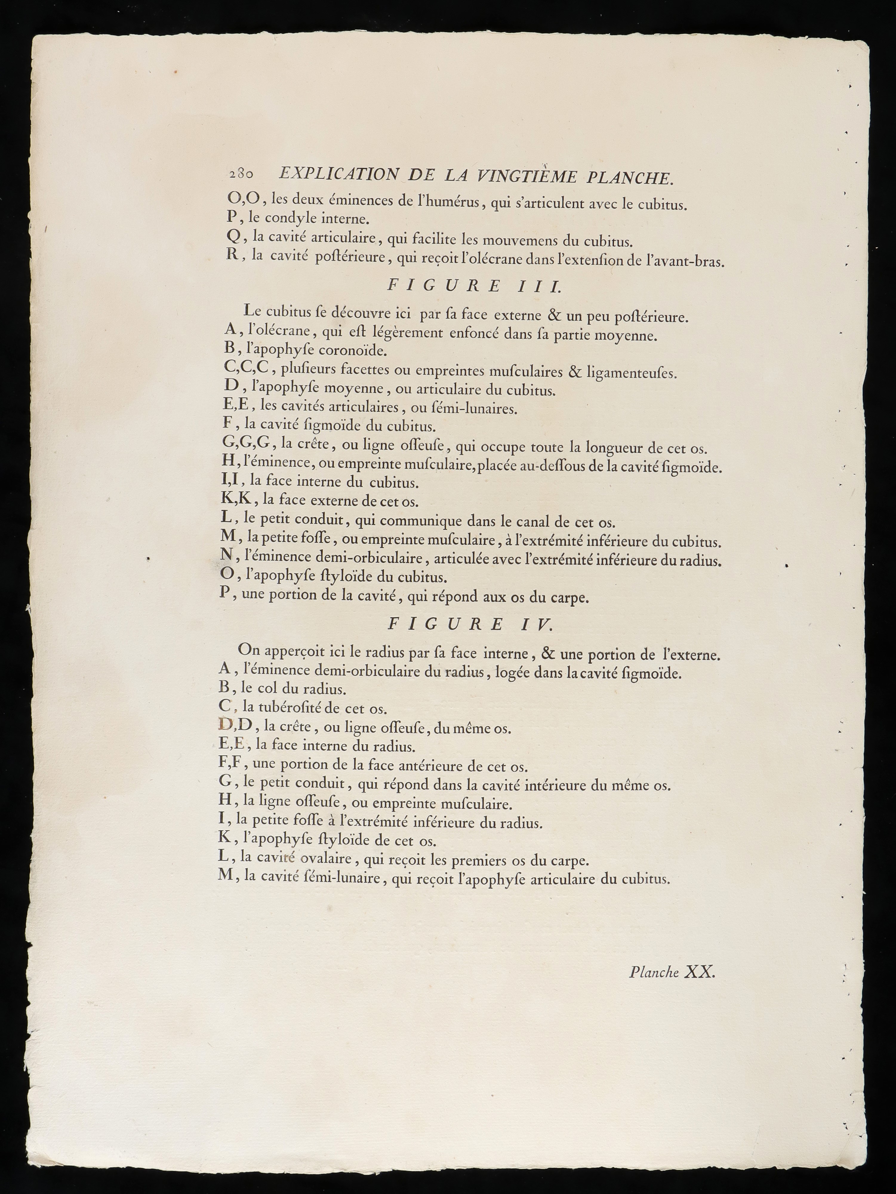 L'osso del Braccio e Quelli Dell'avambraccio da "traité D'ostéologie... Par M. Sue"